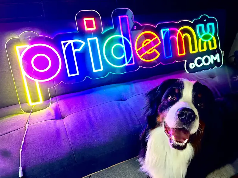 Image hover effect image