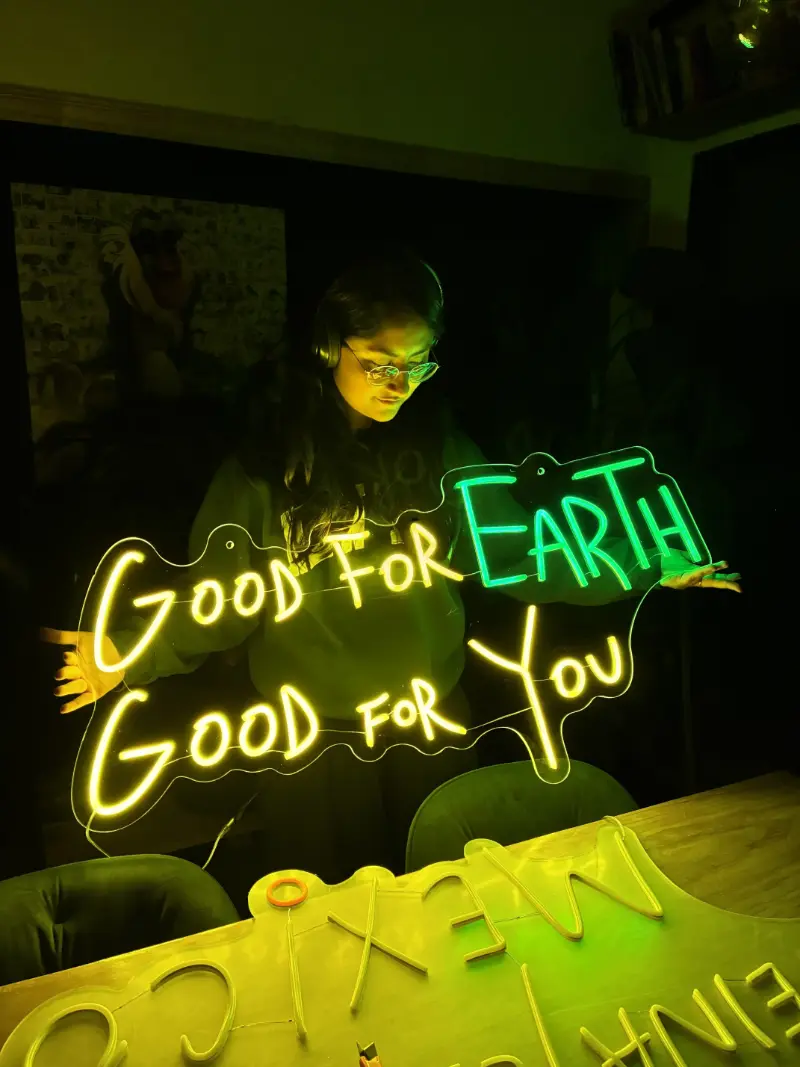 Image hover effect image